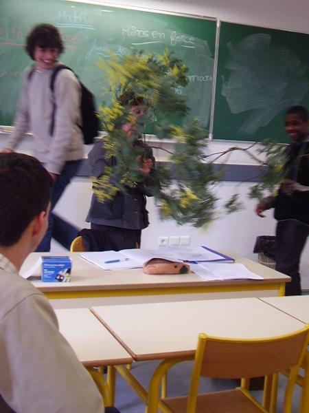 Le bouquet